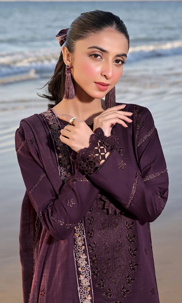 Dhanak 3pc unstitched heavy sequence embroidered suit