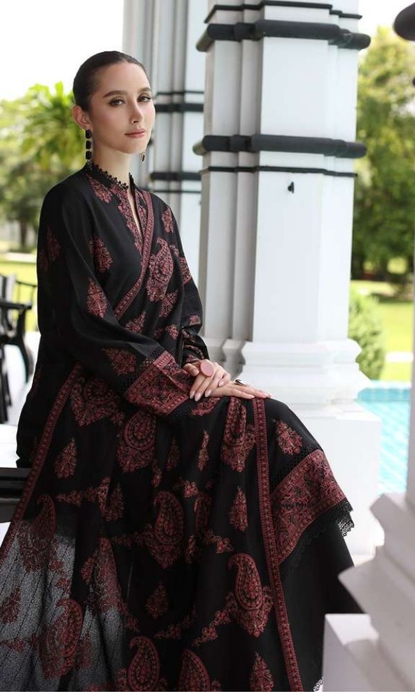 Dhanak 3pc unstitched heavy embroidered suit with embroidered shawl